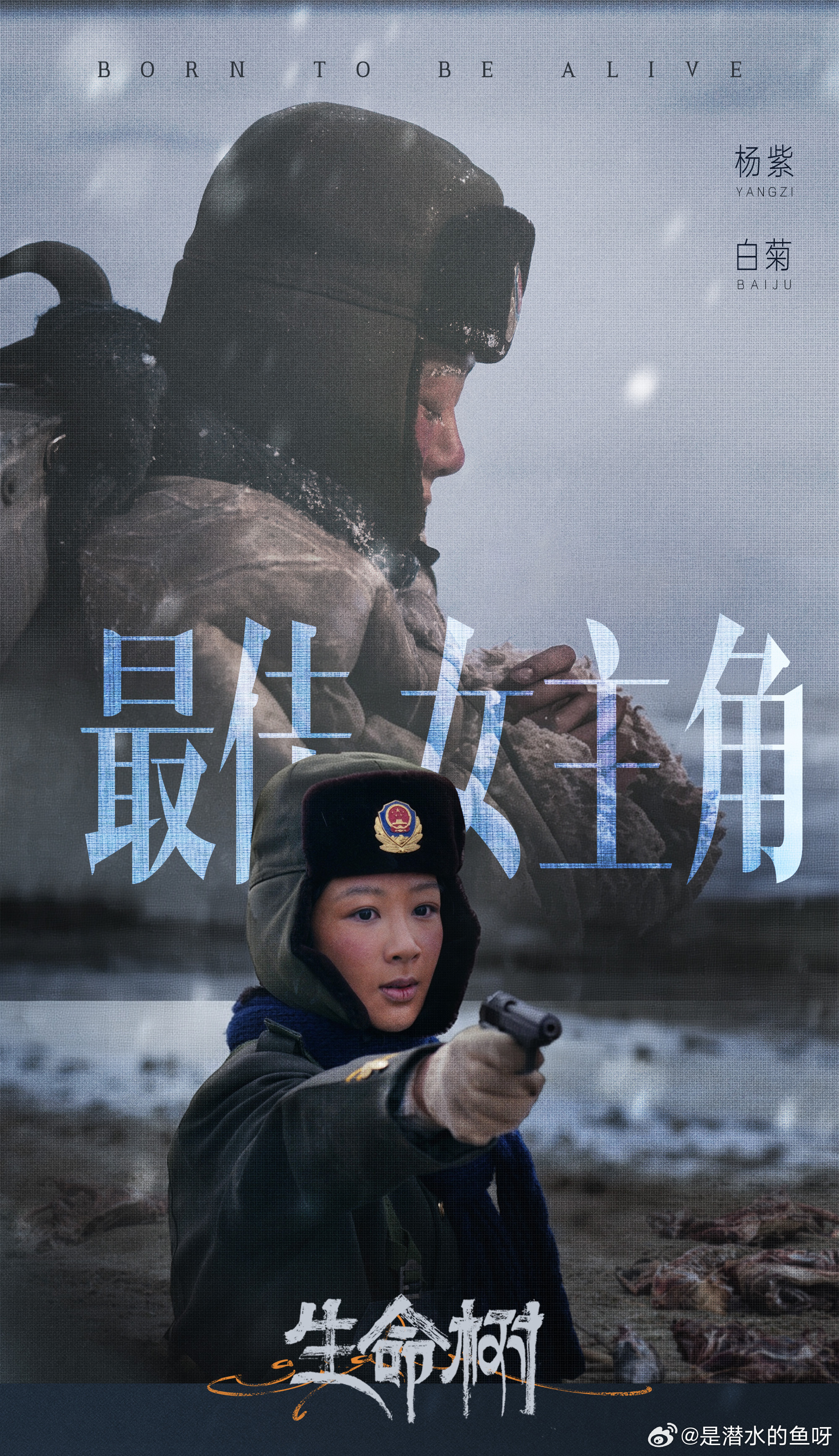 生命树 yz杨紫白菊yz杨紫生命树宇宙山河浪漫银河星空璀璨月光是大海的梦境而你是