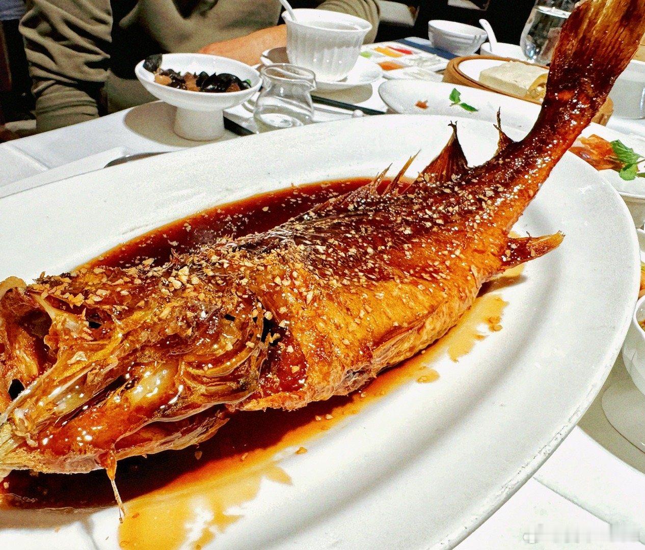 每日一餐分享 🐟 