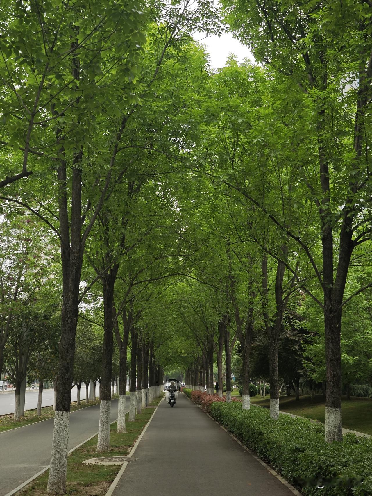 结果刚出！
西安仁村 F7 地块（GX3-18-4）刚刚在 4 月 20 日 1