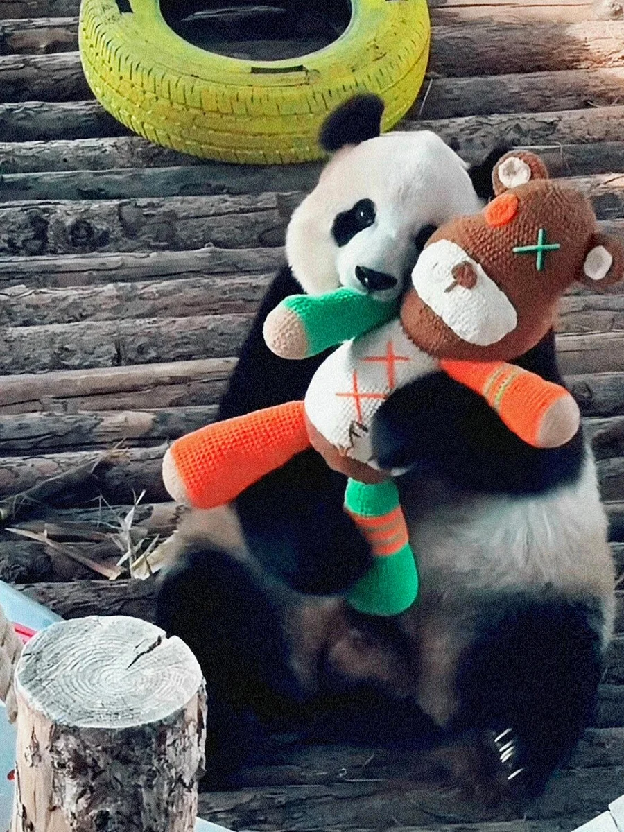 飞云和她的啊贝贝~
