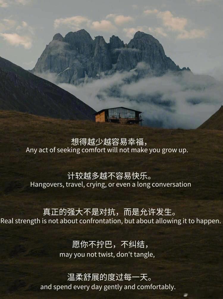愿你不拧巴不纠结，温柔舒展地的度过每一天。 ​​​