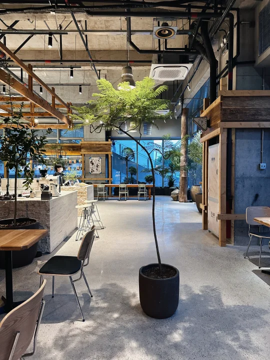 这是理想中的咖啡店吗？