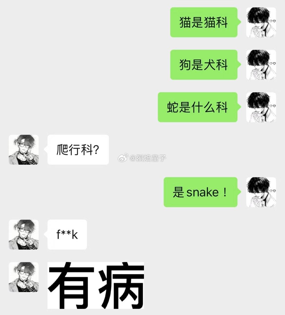 蛇是什么科？