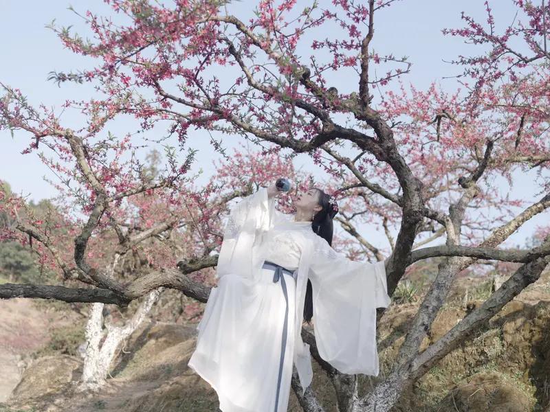 女子情不自禁到处表白确诊“桃花癫” 最近“女子情不自禁到处表白确诊‘桃花癫’”的