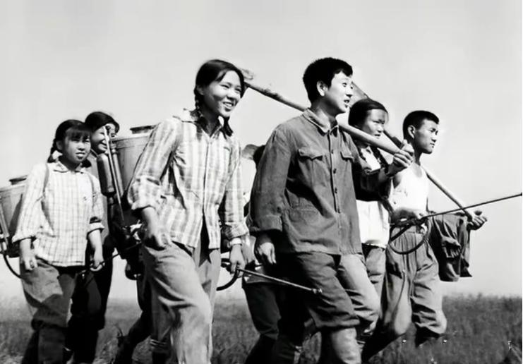 1980年，北京知青为回城，狠心抛弃3岁儿子。没想到，43年后，她去医院检查，发