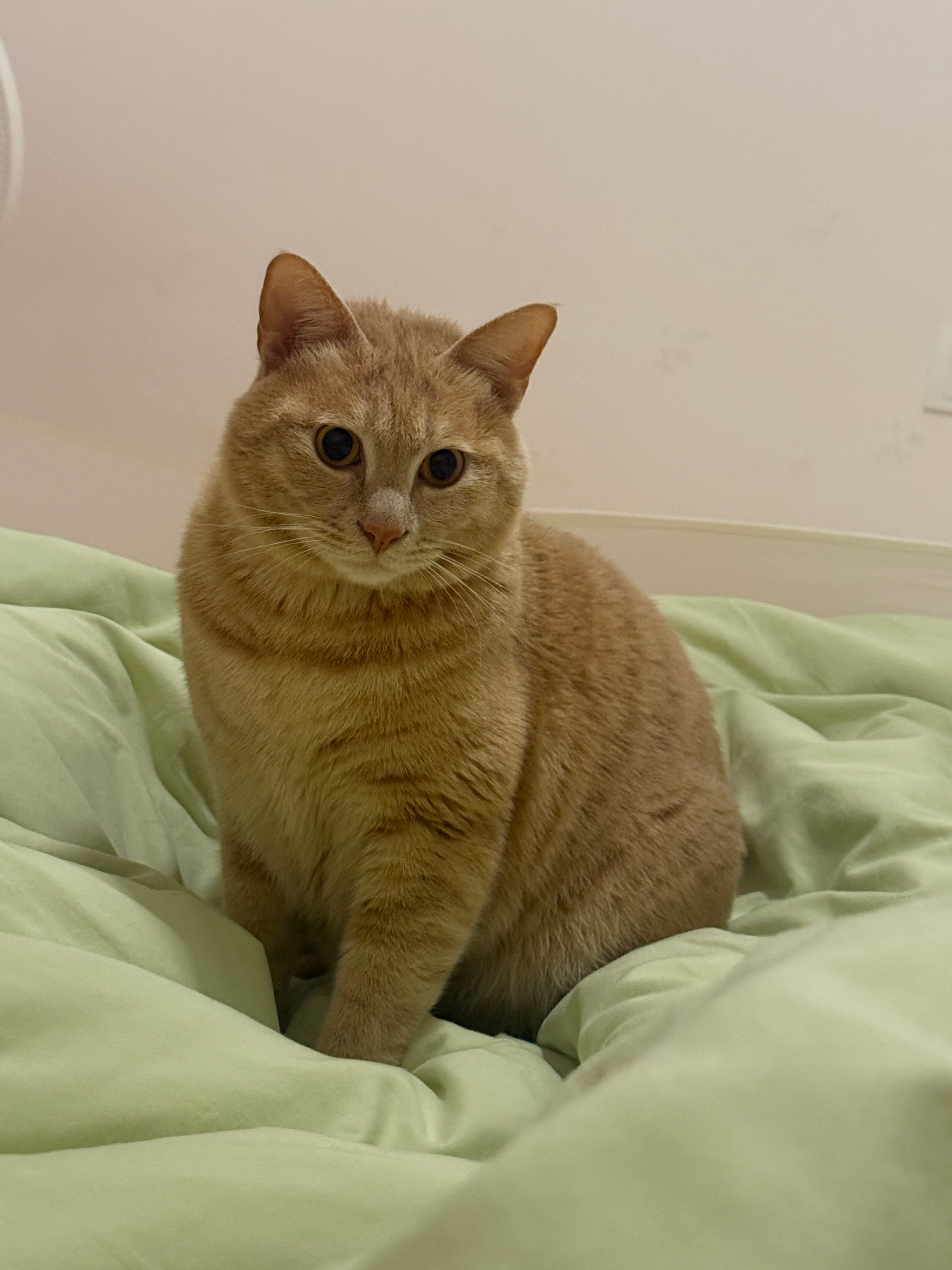 我熬夜就守我一晚上我好几次回头发现他就一直愣愣看着我困的不行了自己小眯一会听到我