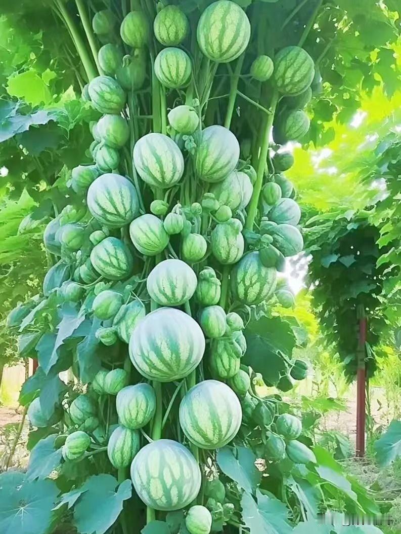 认知越透，越懂人性
口米恩，斗米仇；恩将仇报；看不见别人过得好；翻脸比翻书快……