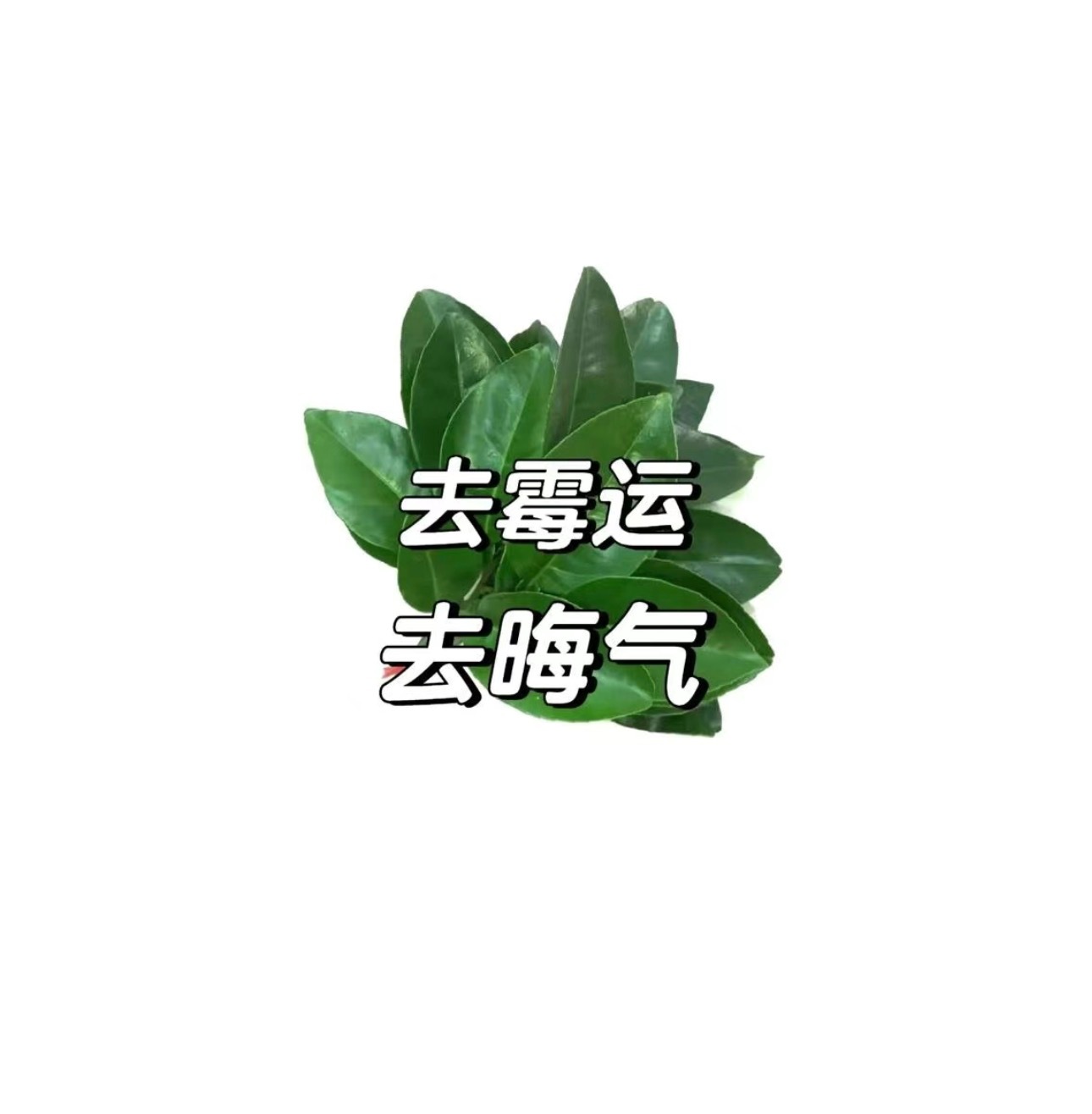 为了我自己的业障，太难听的真的就不说了。 