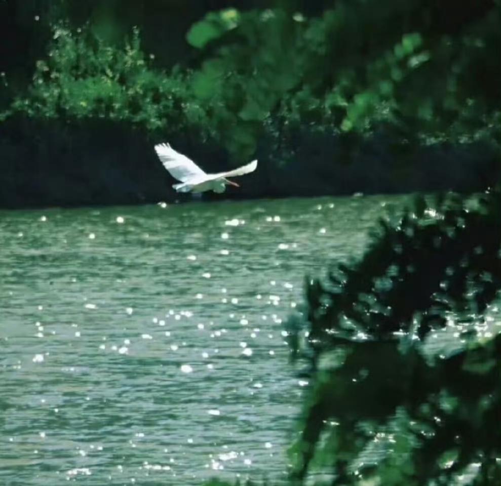 有人读了纳兰容若的《饮水词》后题词道:相爱如身。相怜始是真。
可见，真心是很多人