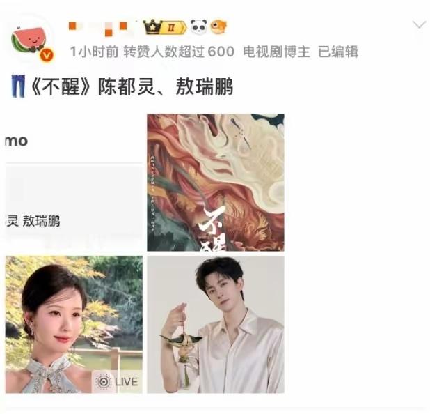 陈都灵将出演《不醒》这部剧网传已经一年多了，男主从一开始的陈星旭，侯明昊、徐振轩