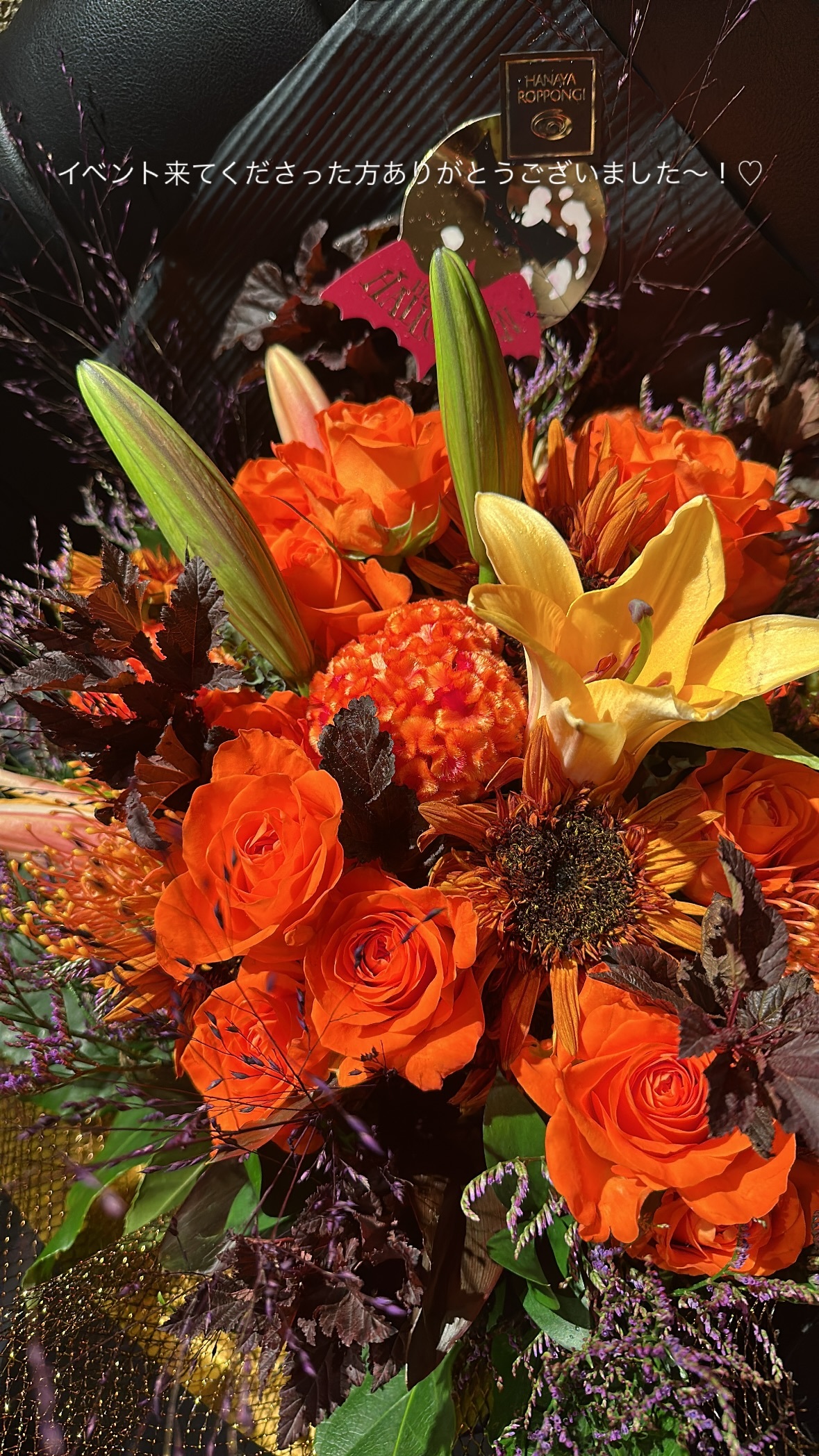 雪平莉左 ​​​