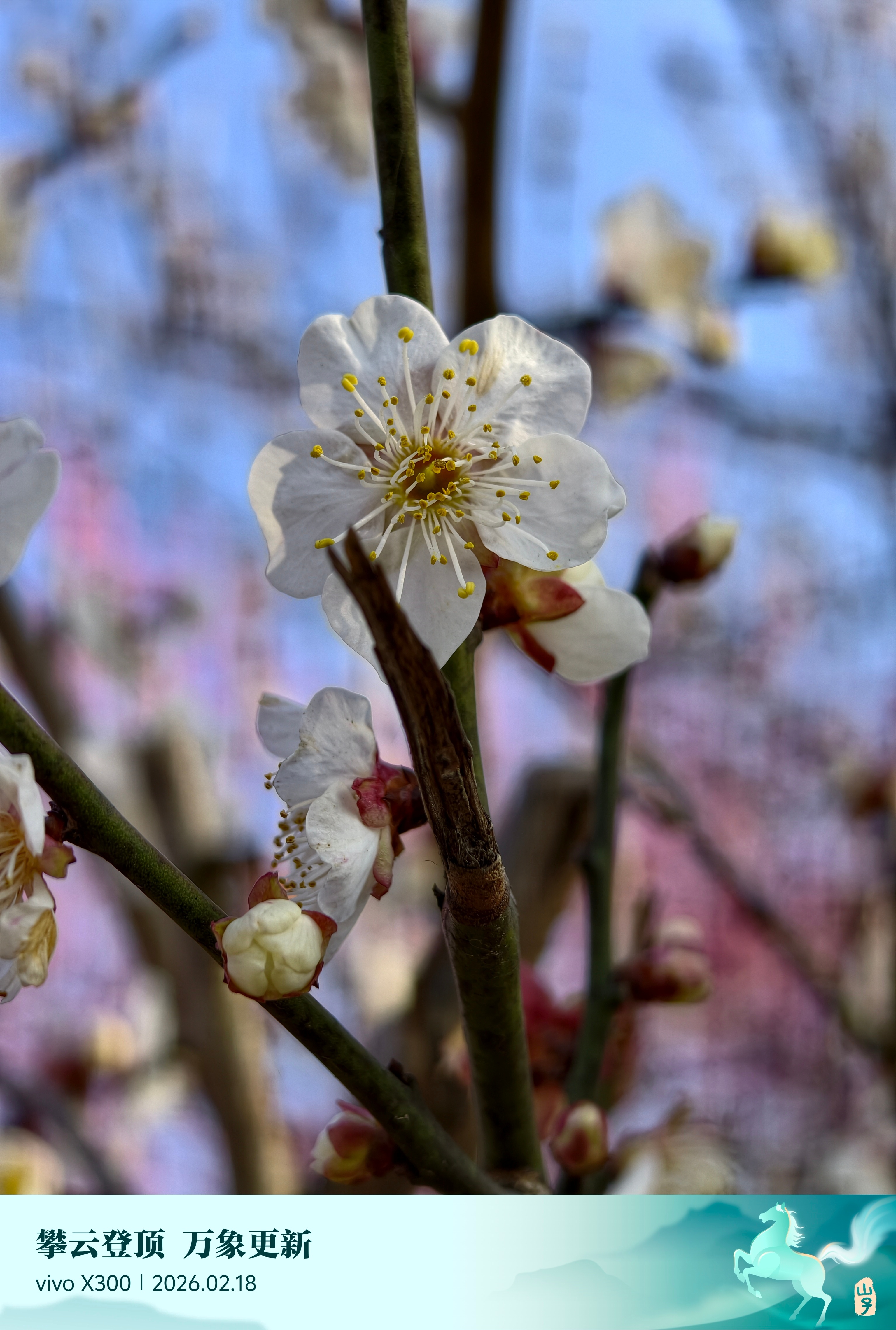 最近这些日子经常抱孩子，手腕患上了腱鞘炎了俗称“妈妈手”我手机玩了这么多年，也没