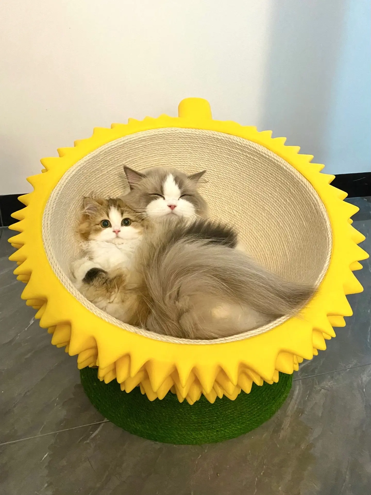 偷吃被抓还一脸不服气！