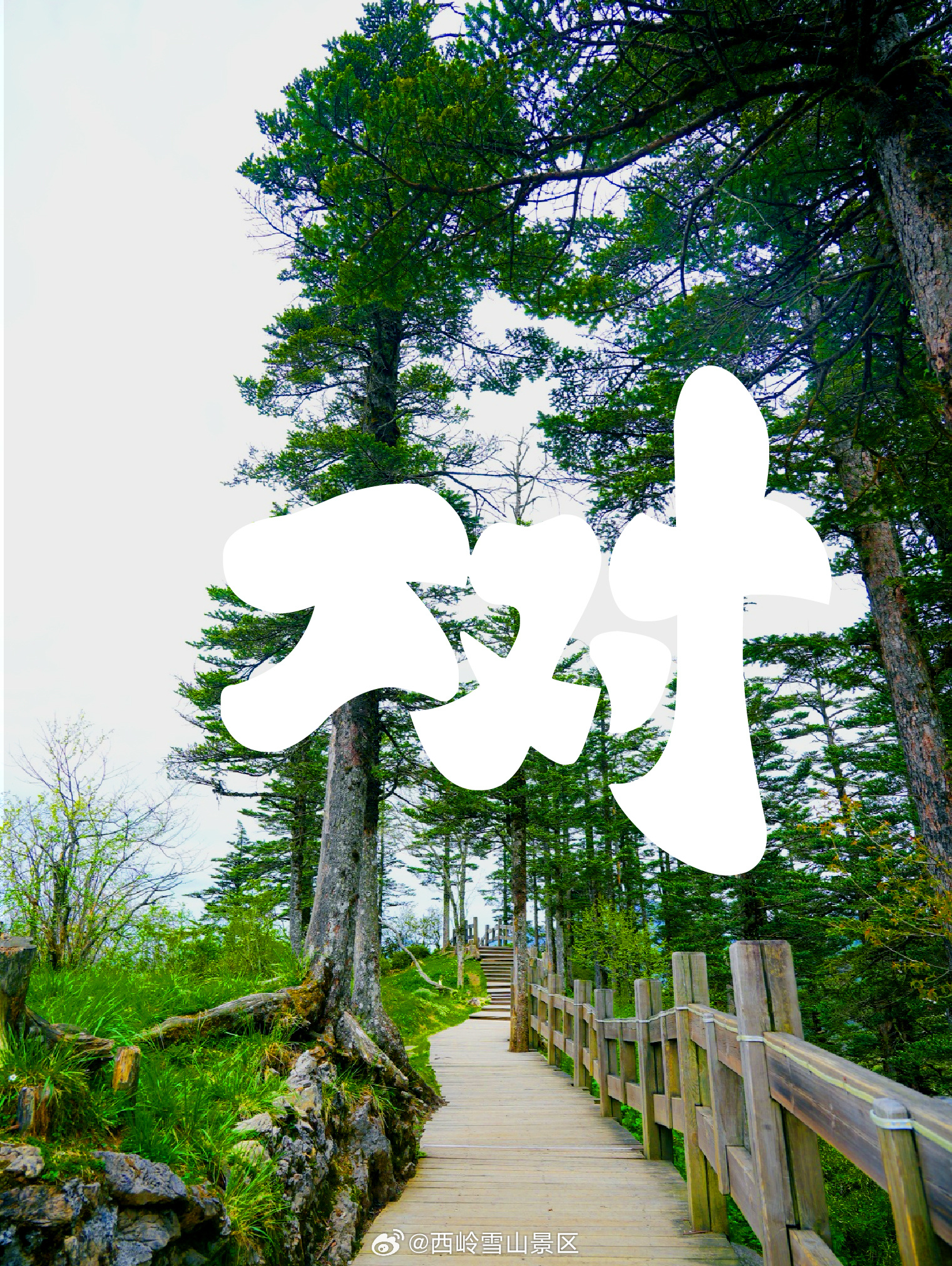 西岭雪山会呼吸的汉字大赏！解码雪山清凉诗篇云瀑倾泻处，万物皆成诗。当夏日西岭遇上