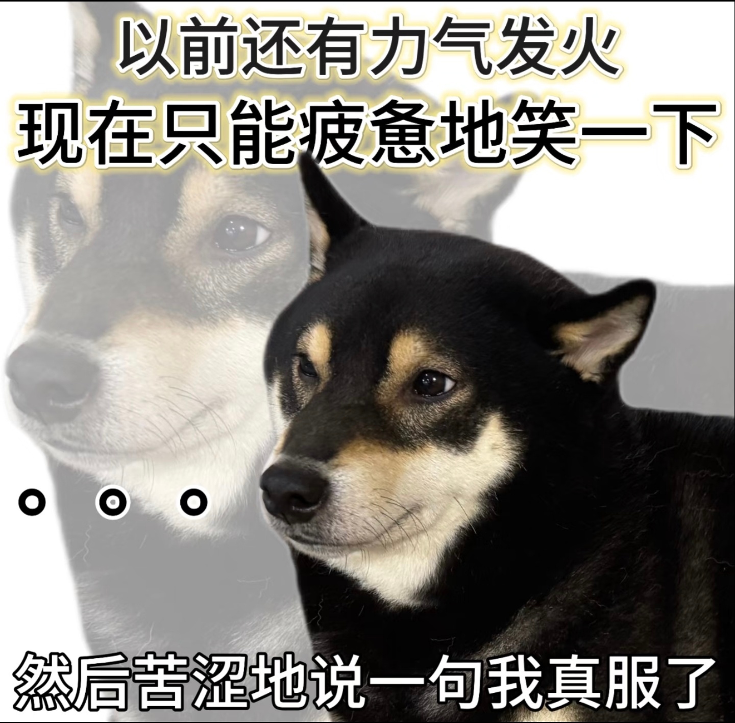 iPhone存安卓拍摄照片放大或变红别提了，我就想问谁能救救卡顿的问题？打开个相