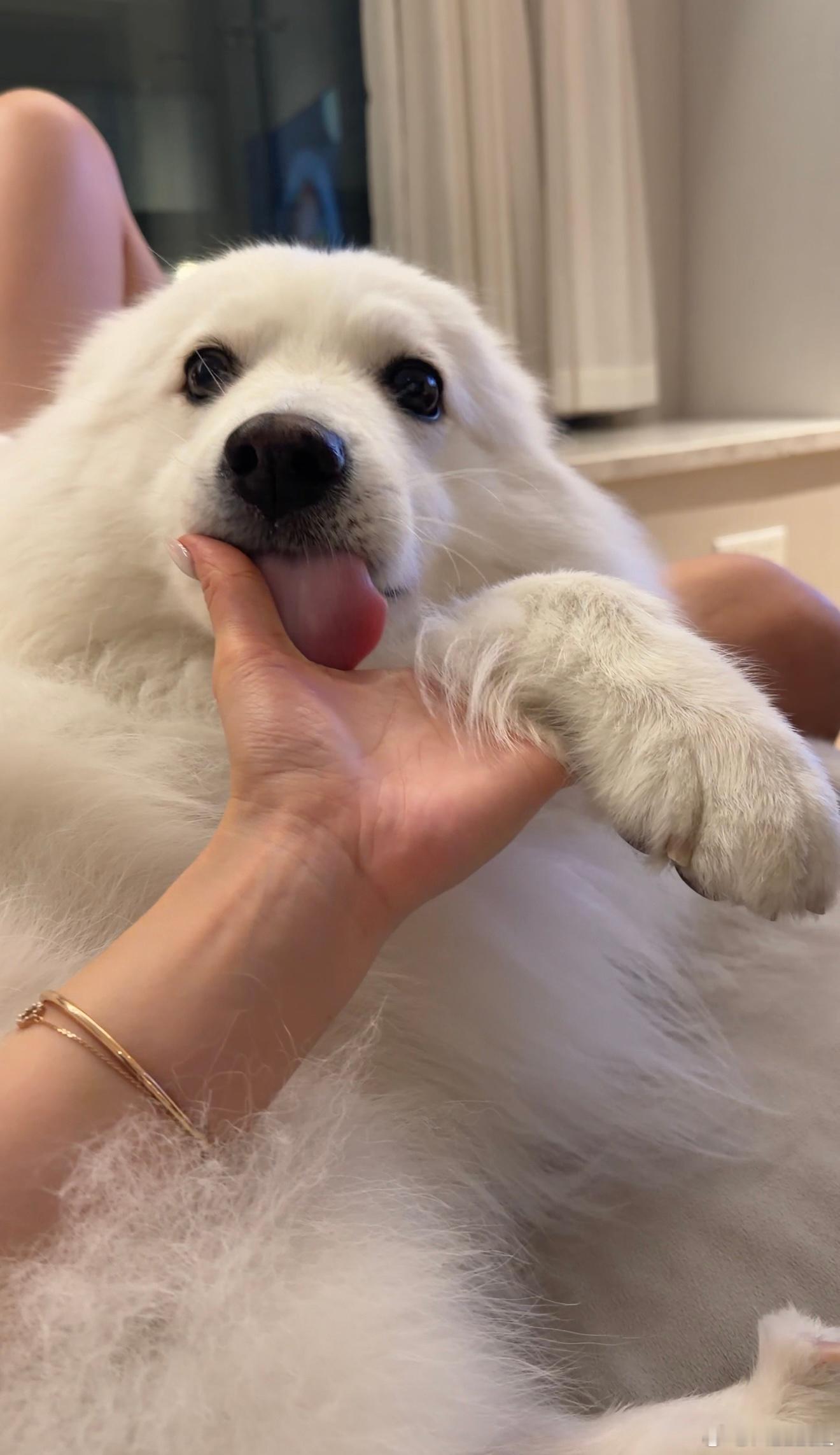 🧊最近又幸福耶！！ 