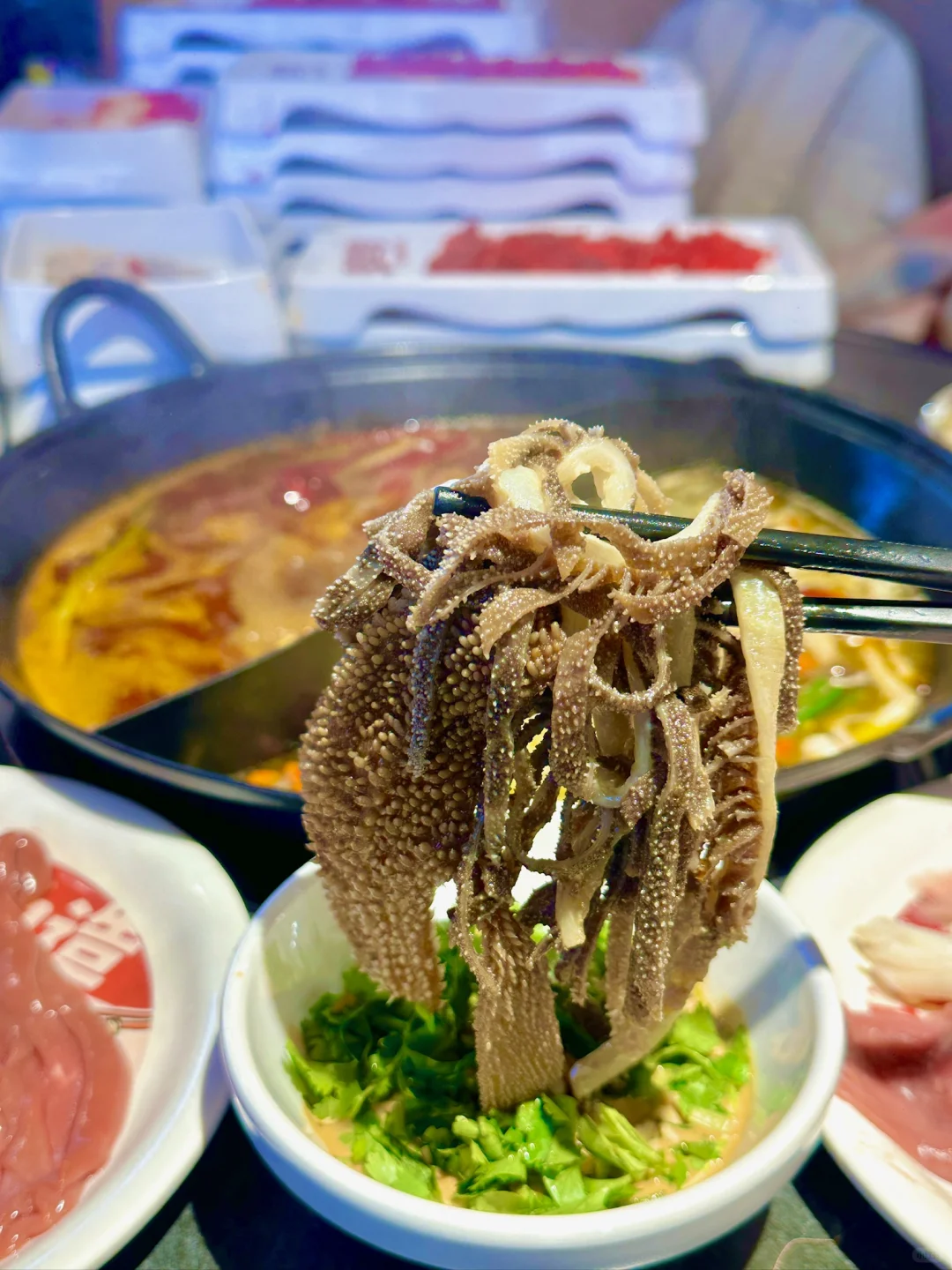杭州惊现东北超🔥毛肚火锅｜自助控必冲！