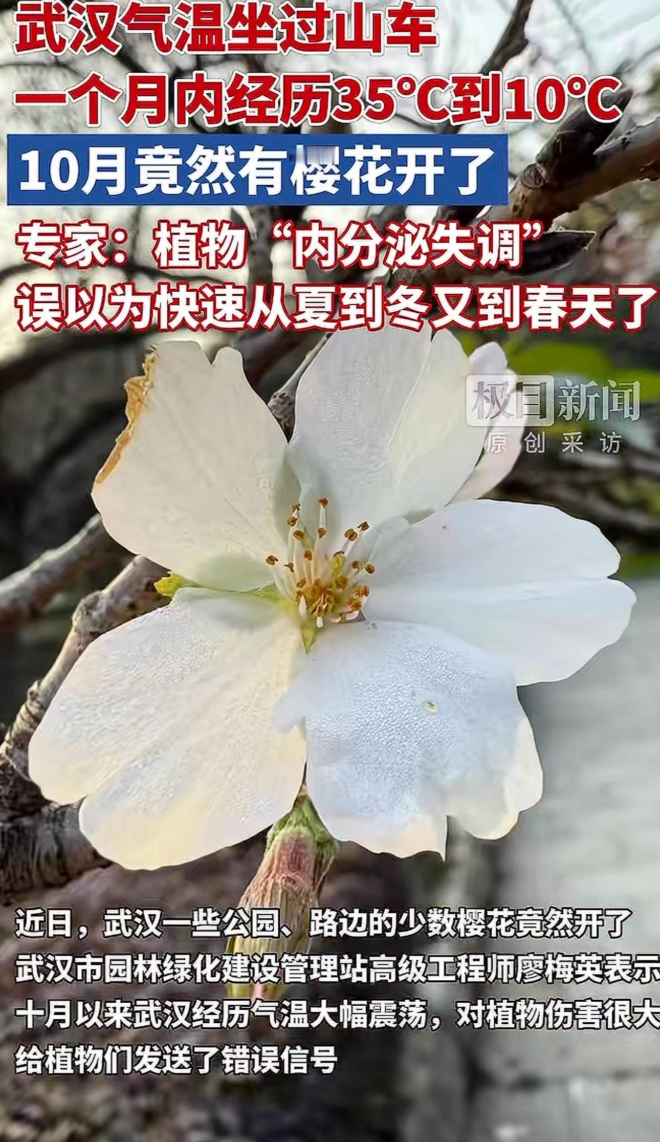 春天花会开，秋天花也有！[允悲] ​​​