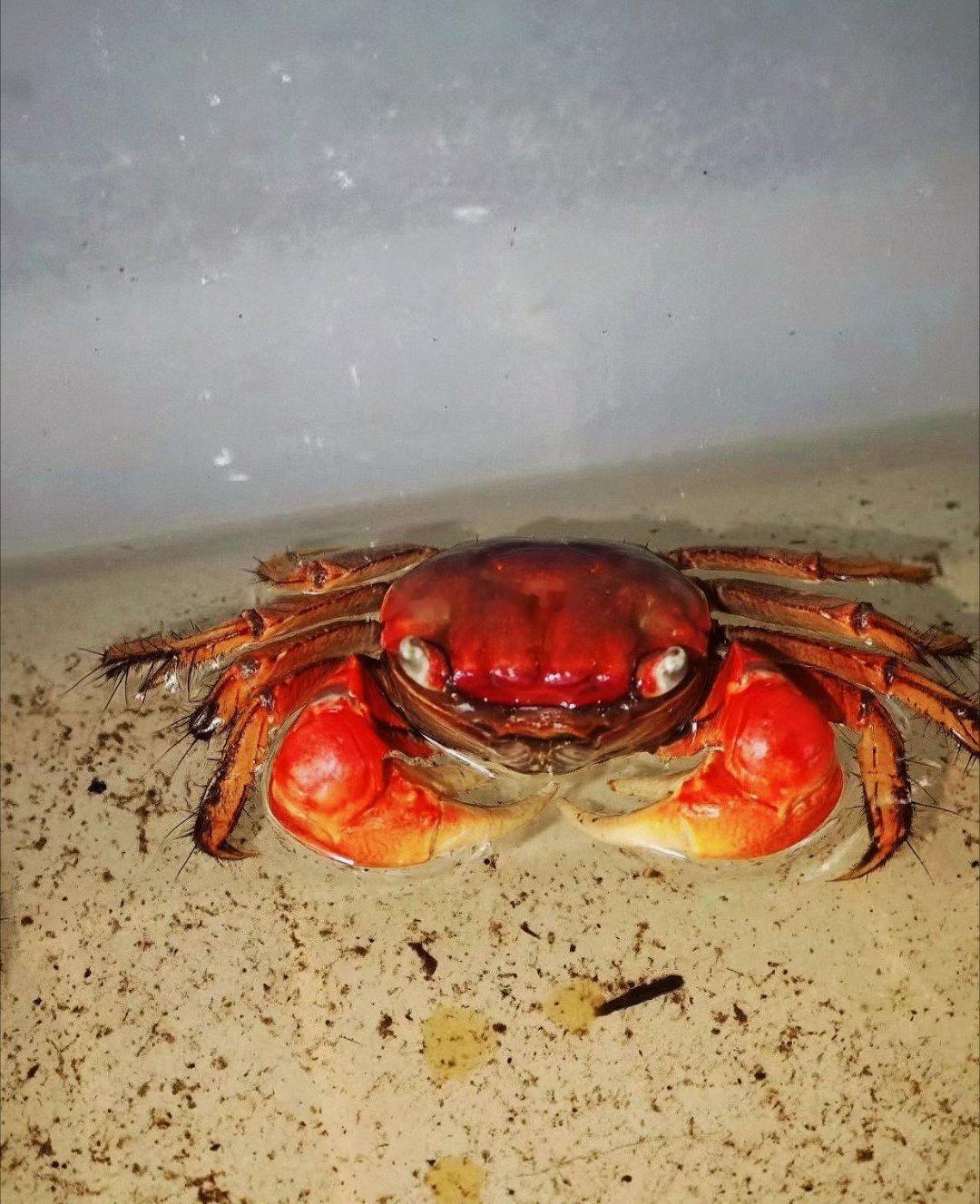 水没有记忆所以它总是那么纯净人总是有思想所以我们才会渴望纯粹只是时间就是一个不确