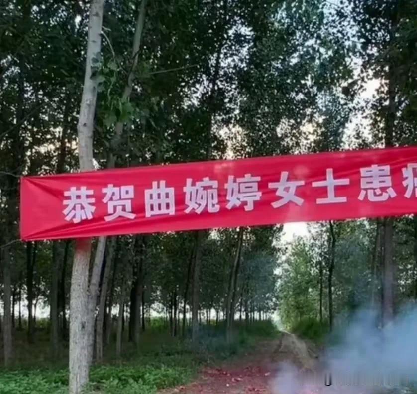 这……又何必呢？凡事，都得有一个底线的，突破不得！[黑线][黑线][黑线]