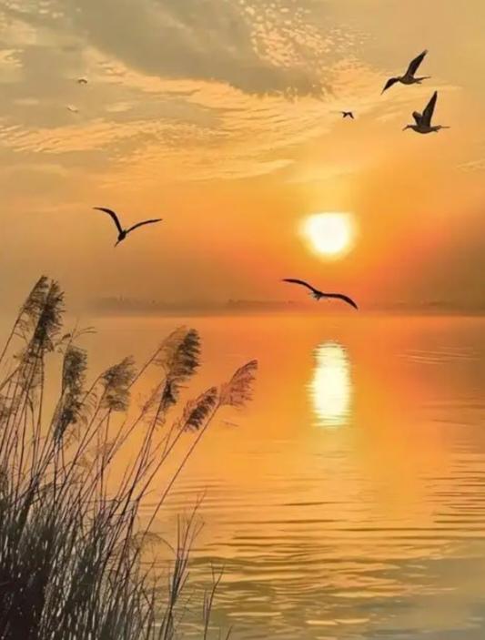 你开车时要是撞到了野猪或者野鸟，交警大概率会判你全责。毕竟猪和鸟哪里懂得开车是怎