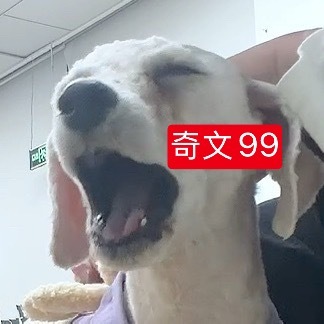 五公双人舞台我就是这个表情 