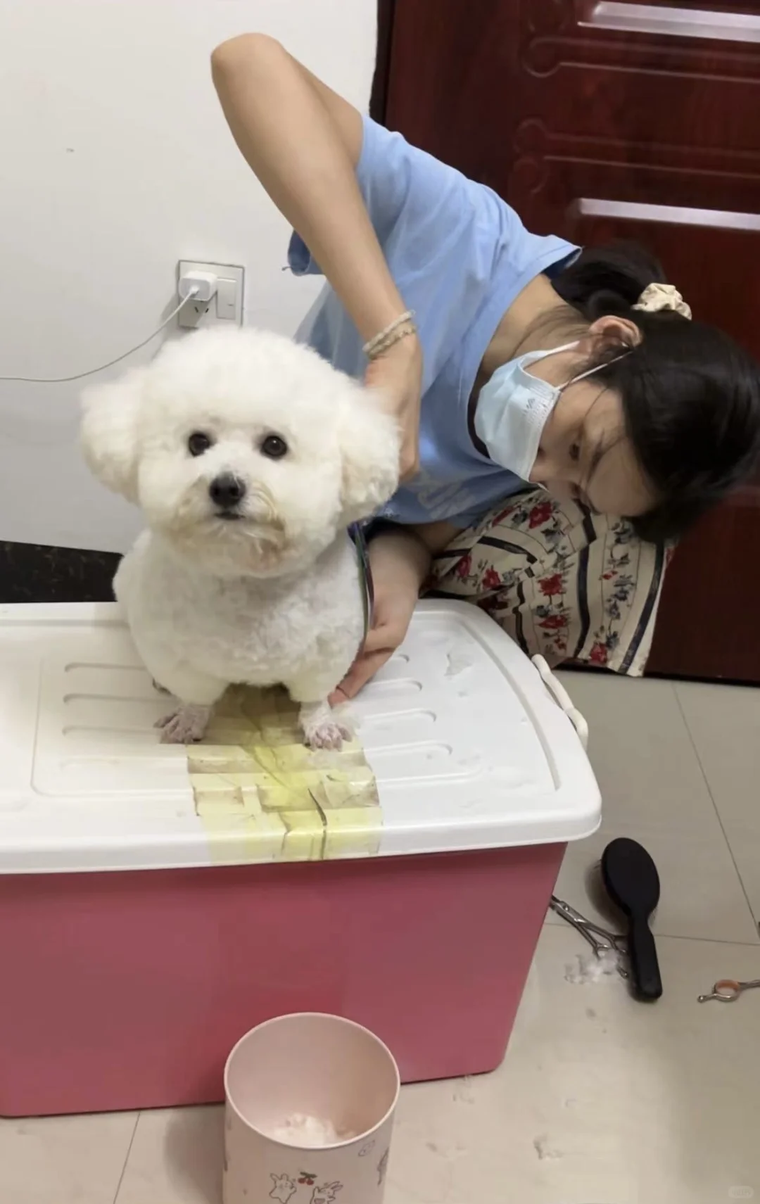 今天又是乖狗一只