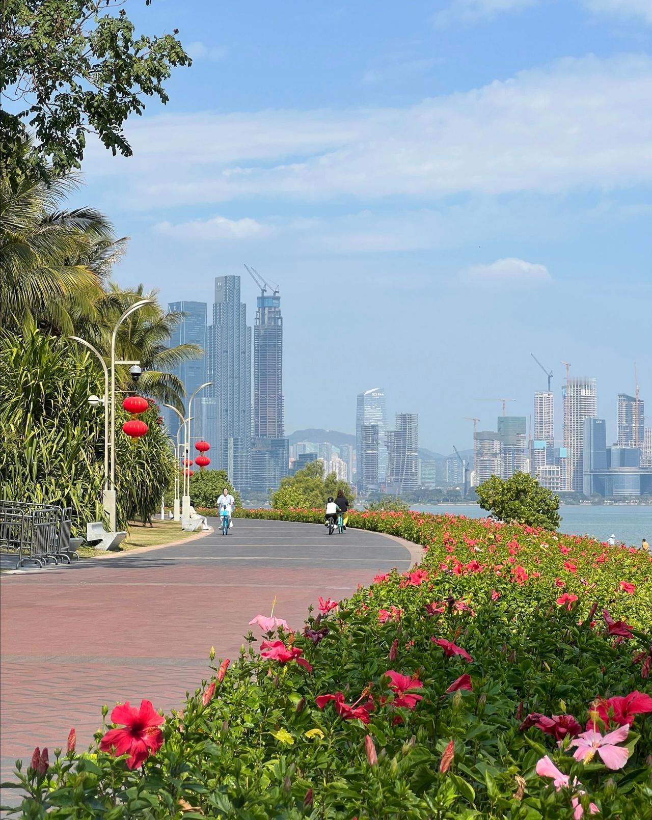 又拿下中国第一了！必须给深圳外贸货物进出口点赞！不得不说深圳外贸太强啦！
深圳为