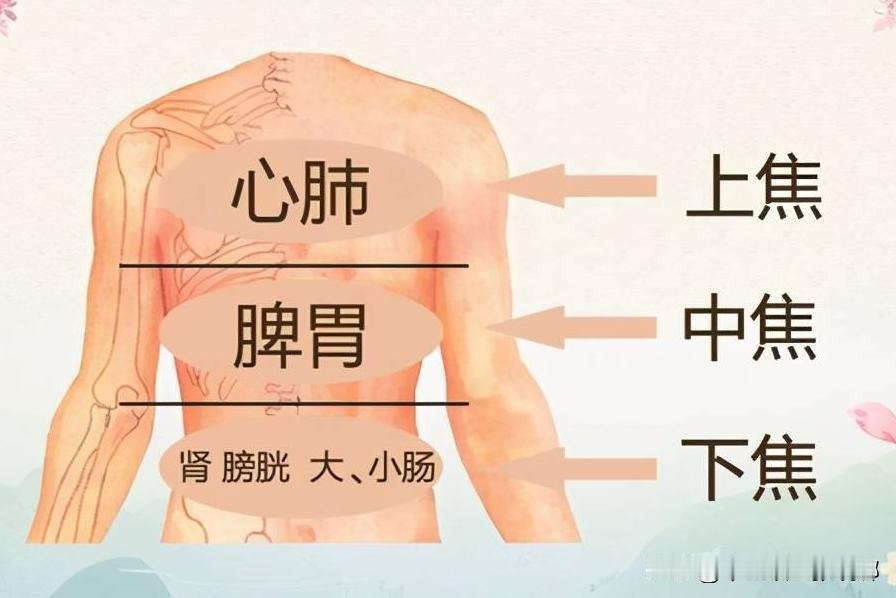 上焦堵——火旺、中焦堵——腹胀、下焦堵——手脚凉！中医教你通三焦

1、上焦堵—