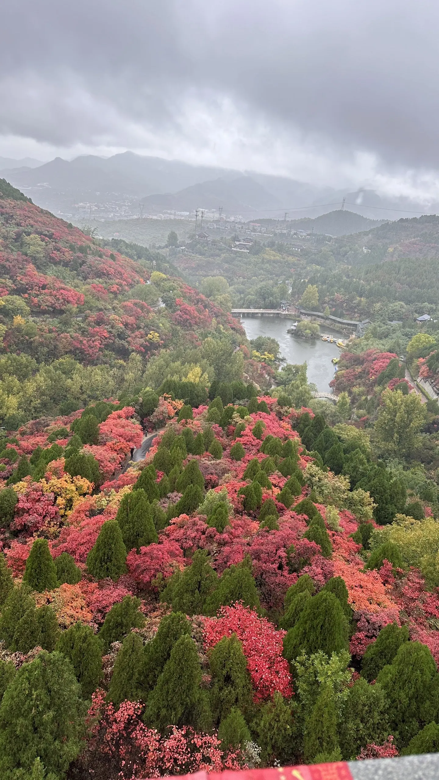 又到登山赏红叶的好时节 红叶🍁 旅行推荐官 红叶谷 每一帧都是热爱