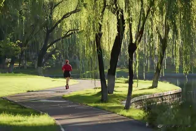 “绿树荫中行，红衣逐风轻”，这画面感绝了。想象在绿树成荫里漫步，身着红衣的人追逐
