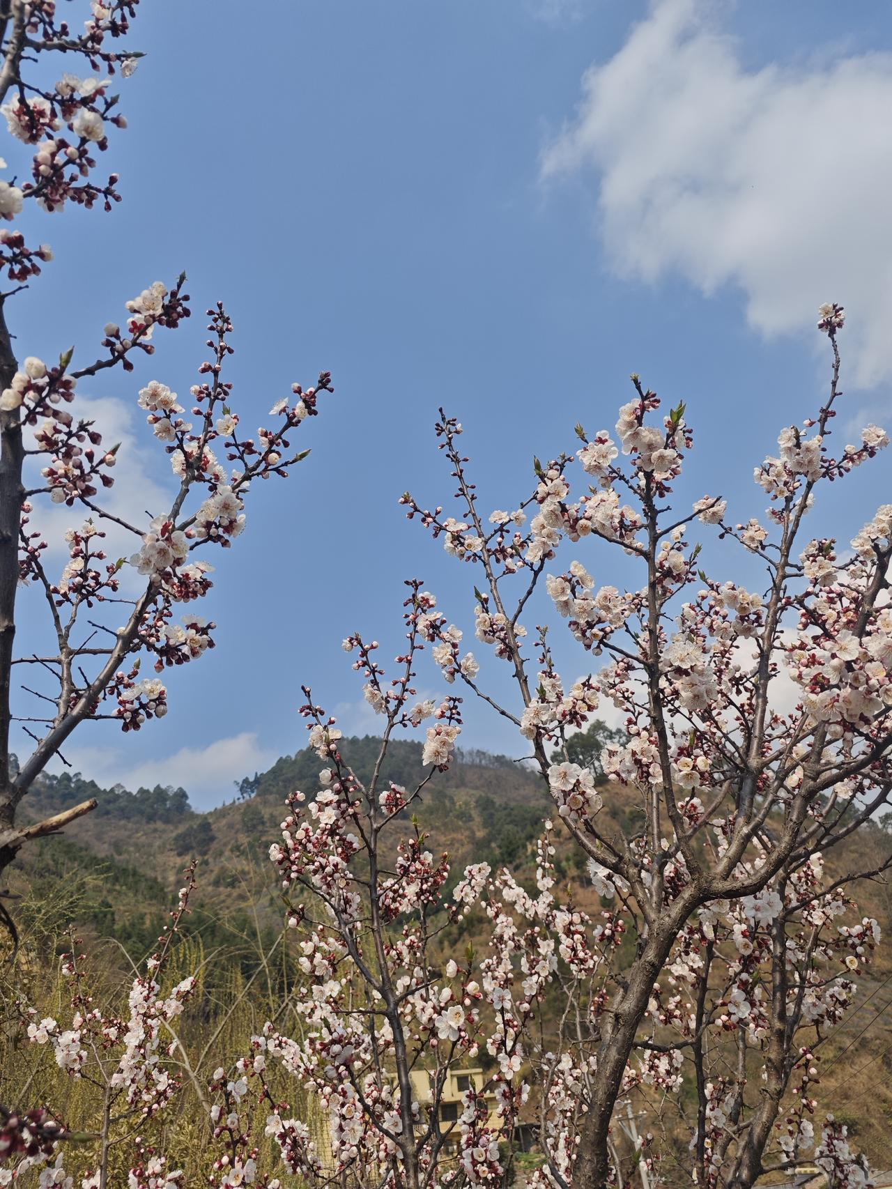 春日暖阳明如镜，大地春回万物苏。卸下沉重的冬装，着一身运动衣，去山间，去大地，去