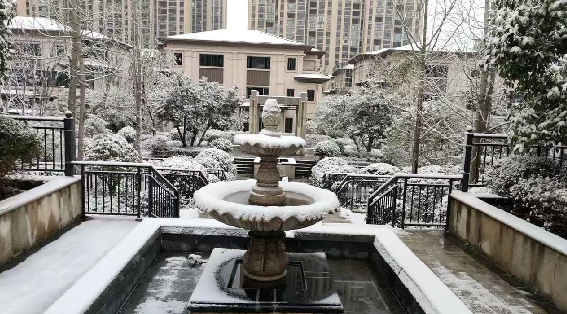 天气预报诚不欺我，一早起来，地上一层厚厚的白雪。
2024年的第一场雪，如期而来