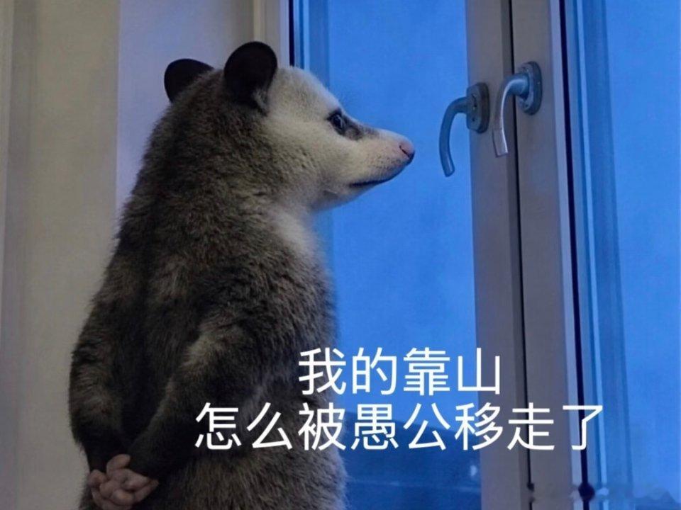 分享图片 