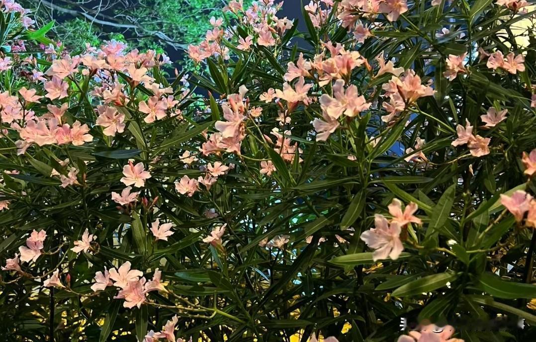 在广州，快节奏的生活，出来工作越久，越懂得拒绝短暂廉价快感、养好身体是本钱的开始