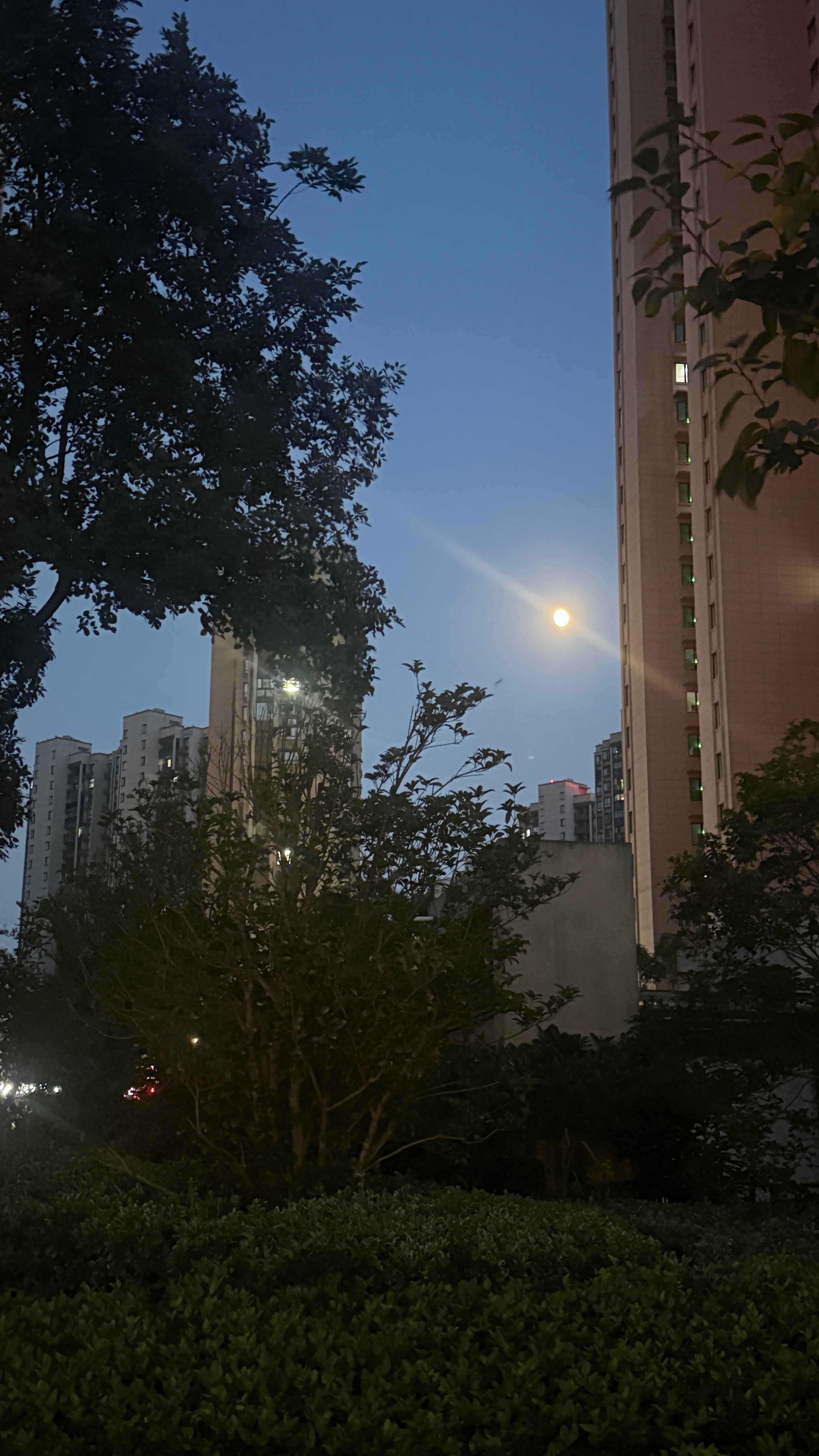 陪我妈散步，花好月圆 ​​​