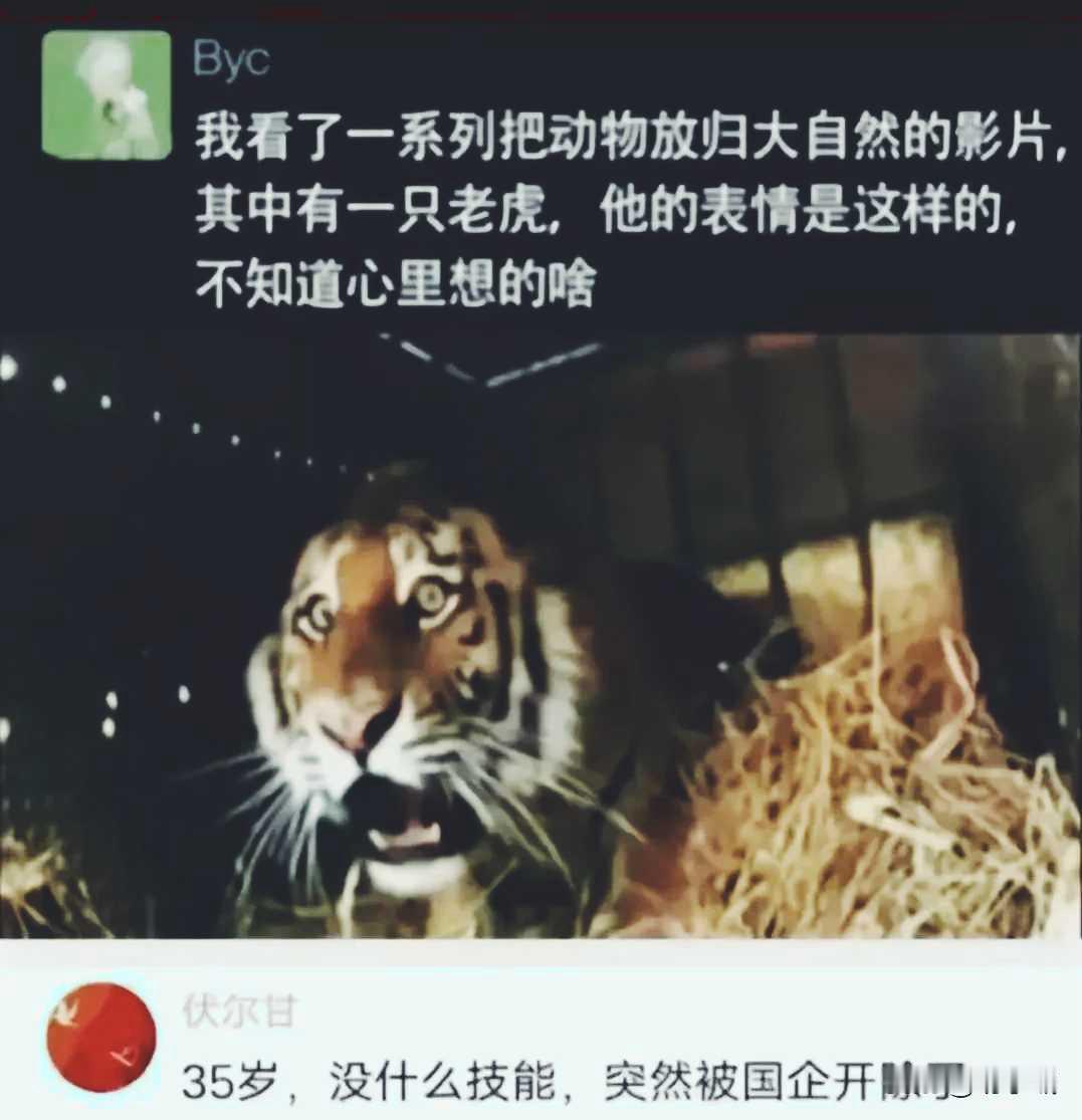 啥？我的皇粮编制没了？