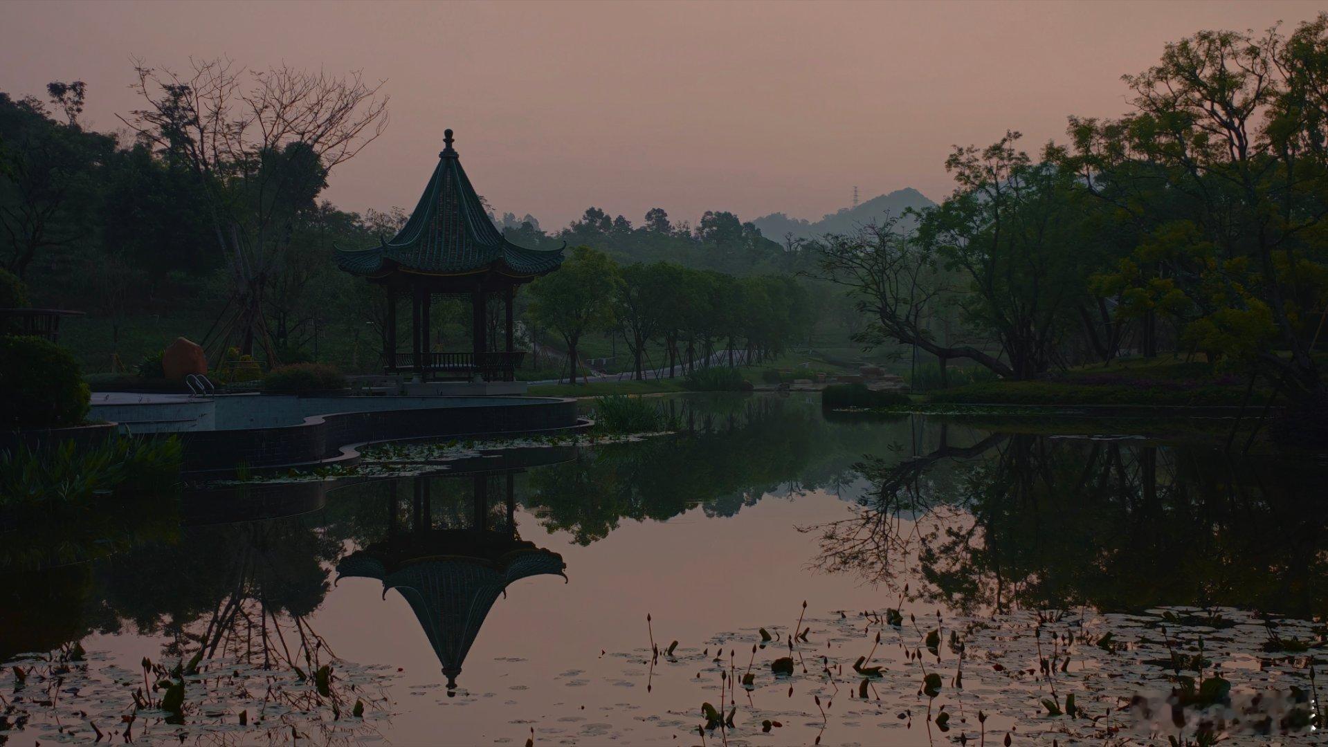 星夜兼程早鸟回京早安老铁们 