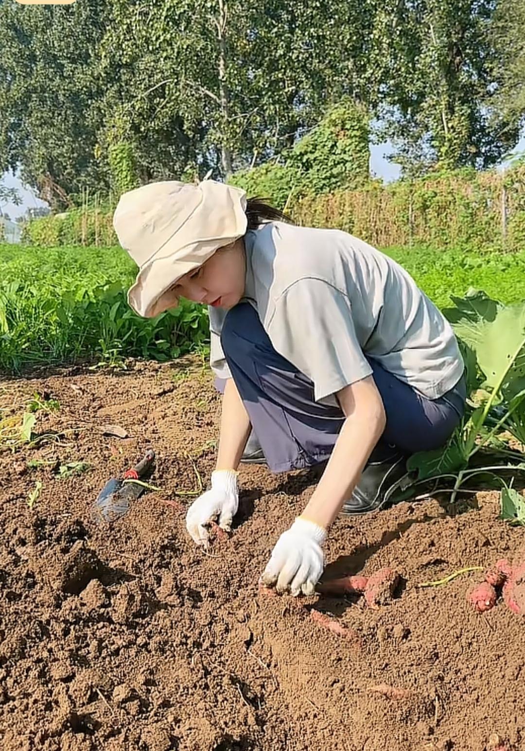 很多女明星在娱乐圈都没什么市场了，曾黎这位中戏大美女，很久没看到她的剧了，现在开