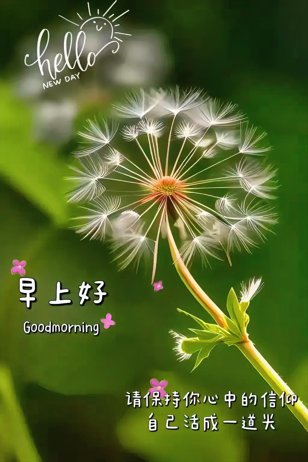 早上好！不负晨光，不负自己。
分享一下你拍的花朵 
分享你的今日随笔 
记录我的