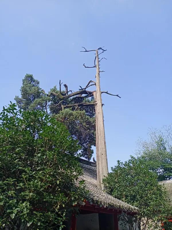 上联:人虽两笔分左右，如何对下联中凭一竖撑乾坤