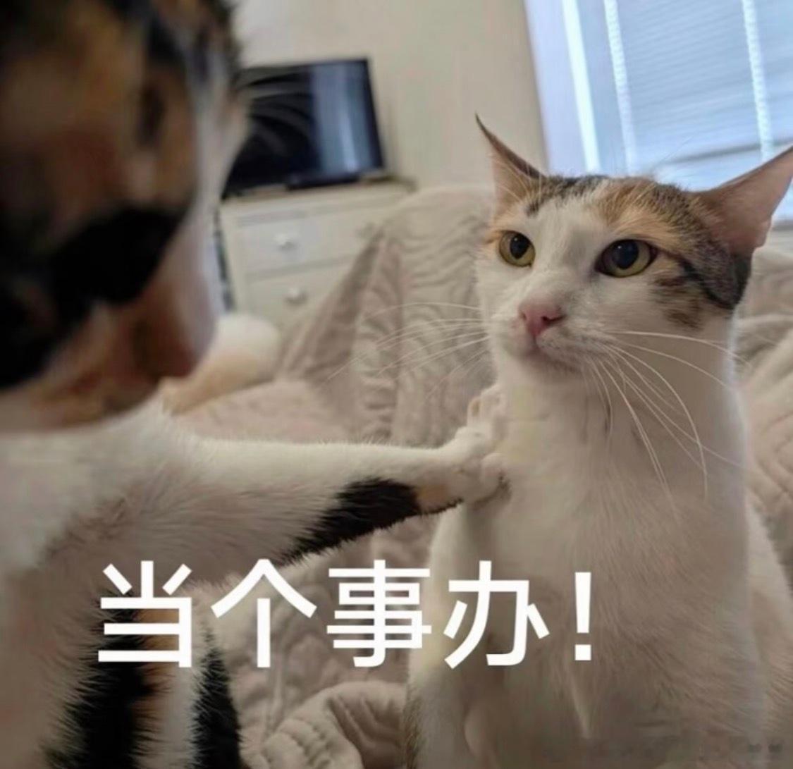 女装真的好诡异啊，我花200多买了个基础款衬衣，没打算有多好但也不能两个肩膀造型