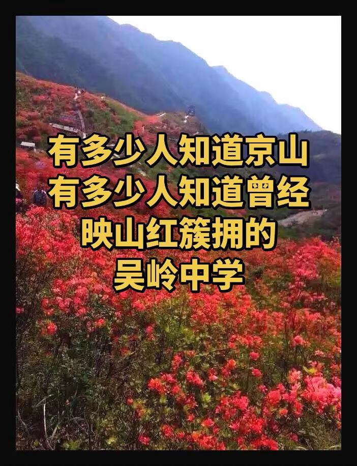 吴岭中学78届高中同学相约回故土寻找青春痕迹