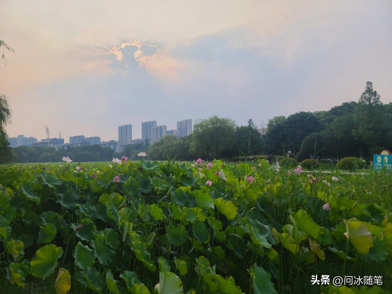 什么是意淫？就是那些整天看别人笑话，巴不得别人都死绝，自己却过得一塌糊涂的人。
