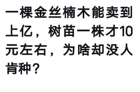 没有人想慢慢变富 ​​​
