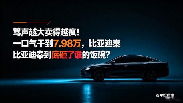 骂声越大卖得越疯！一口气干到7.98万，比亚迪秦到底砸了谁的饭碗