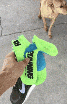 我们根本不懂你在干啥……