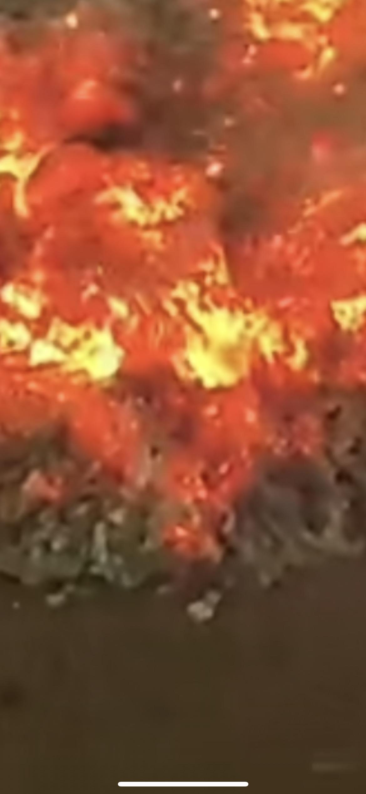 七旬老太给离世儿媳上坟烧纸，山上刮起大风导致火势失控，烧掉58亩林地，量刑时考虑