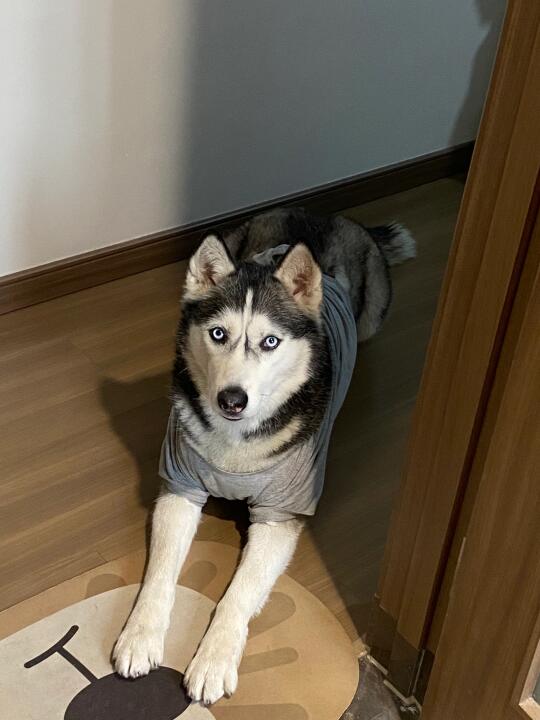 一早上就来监工啦 ｜盯着我刷牙