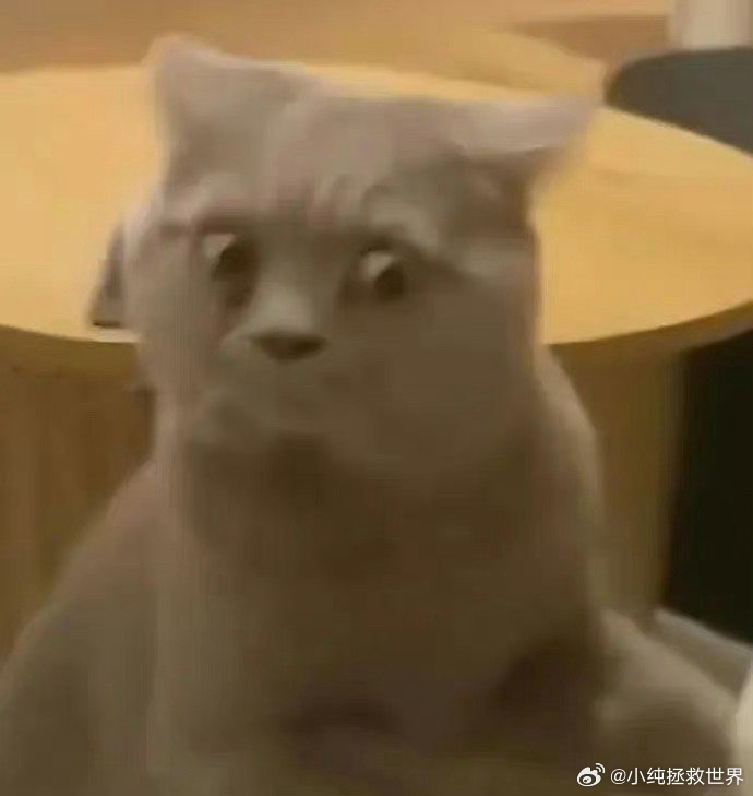 压垮打工人的最后一根稻草是奶茶 拒绝职场奶茶绑架真的很有必要，不用为了所谓的合群